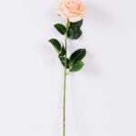 12*12*68CM Single Rose GS-1780028-C1