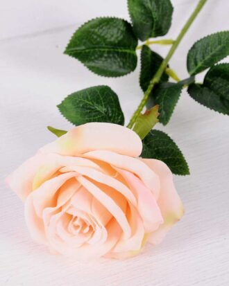 12*12*68CM Single Rose GS-1780028-C1