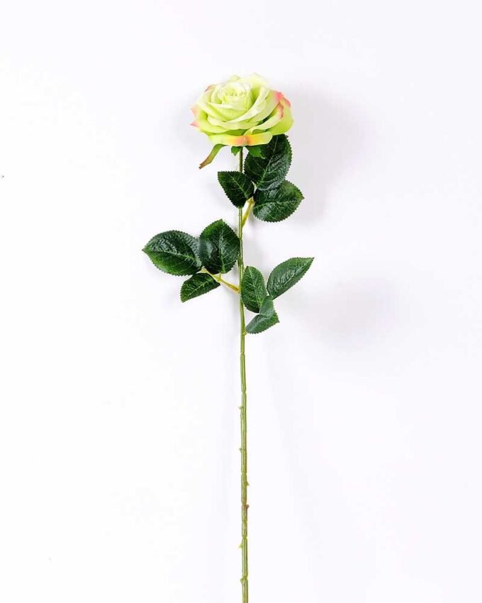 12*12*68CM Single Rose GS-1780028-G1