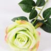 12*12*68CM Single Rose GS-1780028-G1
