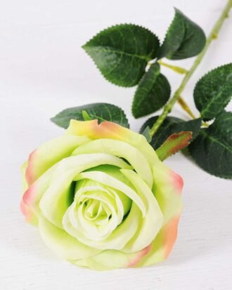 12*12*68CM Single Rose GS-1780028-G1