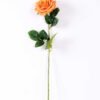 12*12*68CM Single Rose GS-1780028-O1