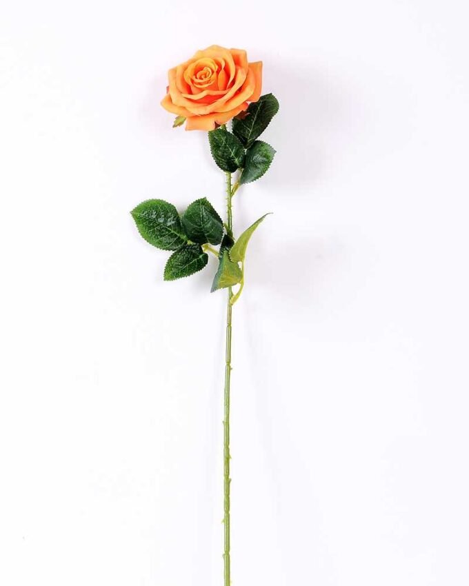 12*12*68CM Single Rose GS-1780028-O1