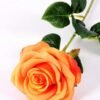 12*12*68CM Single Rose GS-1780028-O1