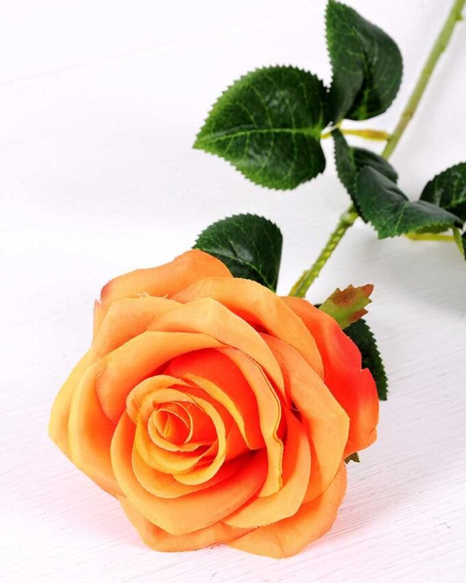 12*12*68CM Single Rose GS-1780028-O1