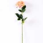 12*12*68CM Single Rose GS-1780028-P1