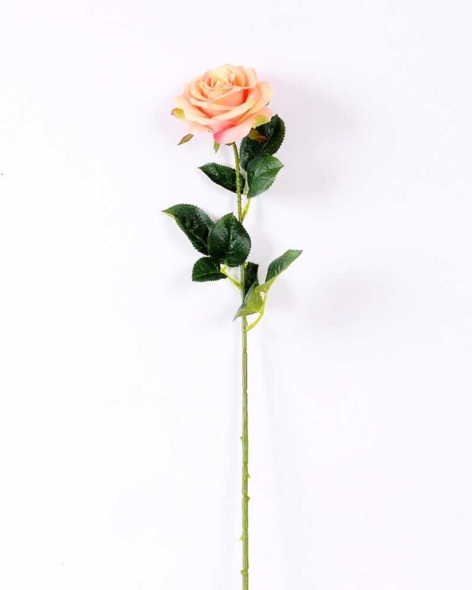 12*12*68CM Single Rose GS-1780028-P1