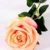 12*12*68CM Single Rose GS-1780028-P1
