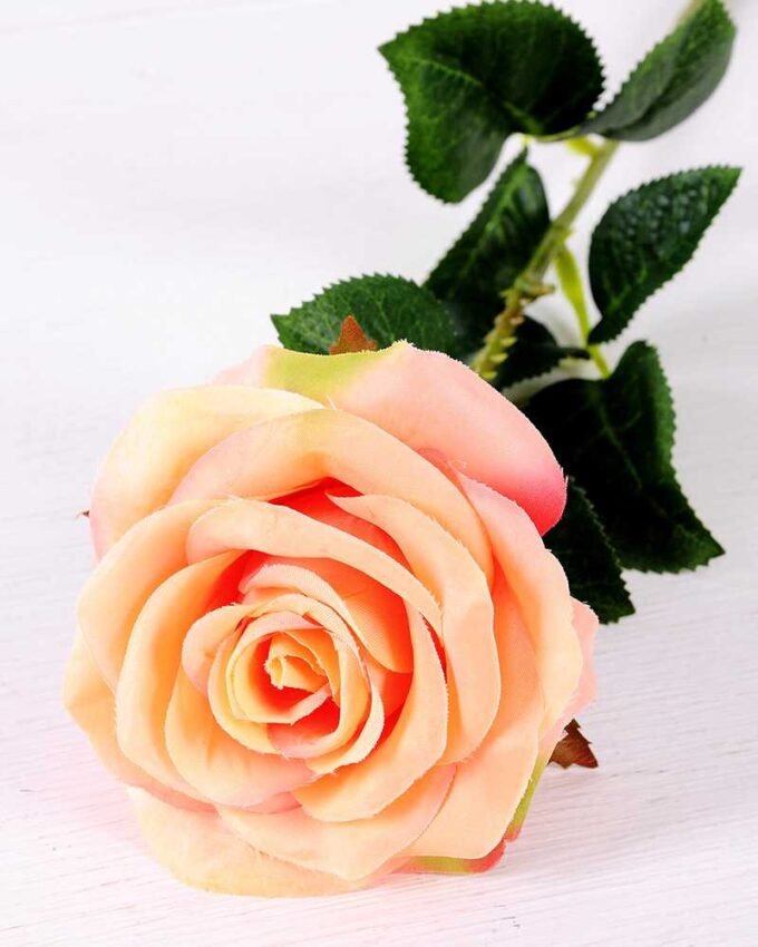 12*12*68CM Single Rose GS-1780028-P1