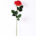 12*12*68CM Single Rose GS-1780028-R1