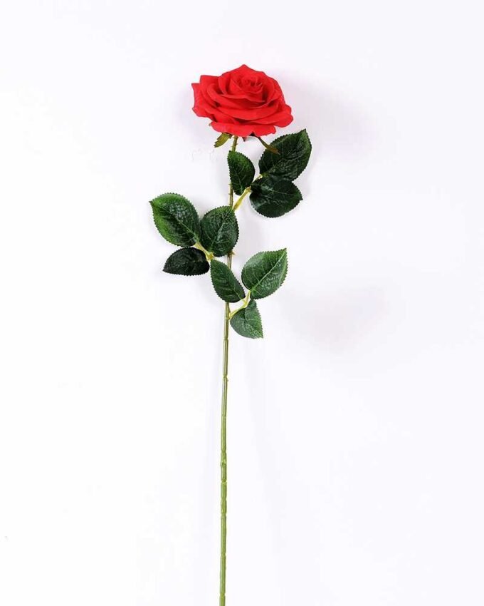 12*12*68CM Single Rose GS-1780028-R1