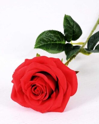 12*12*68CM Single Rose GS-1780028-R1