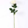 12*12*68CM Single Rose GS-1780028-W1
