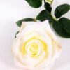 12*12*68CM Single Rose GS-1780028-W1