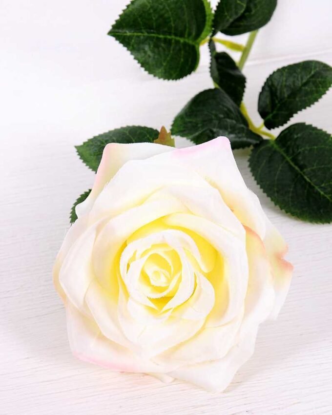 12*12*68CM Single Rose GS-1780028-W1