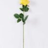 12*12*68CM Single Rose GS-1780028-Y1
