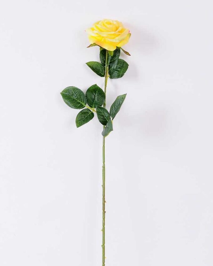 12*12*68CM Single Rose GS-1780028-Y1
