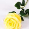 12*12*68CM Single Rose GS-1780028-Y1