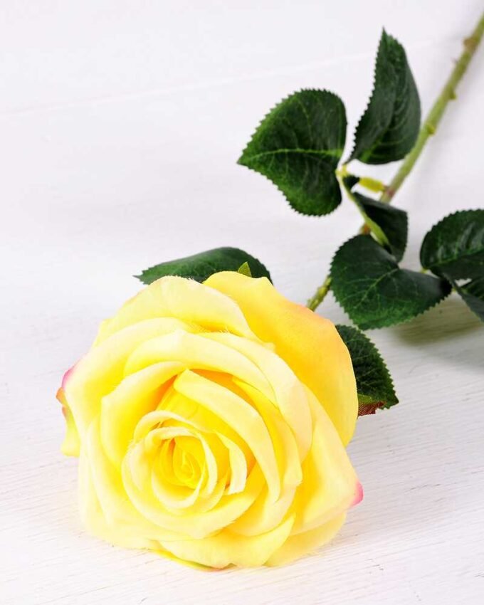 12*12*68CM Single Rose GS-1780028-Y1