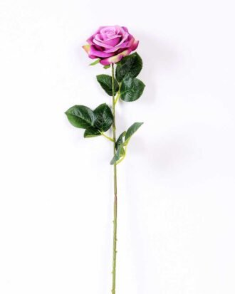 12*12*68CM Single Rose GS-1780028-Z1