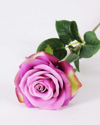 12*12*68CM Single Rose GS-1780028-Z1