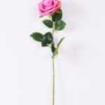 12*12*68CM Single Rose GS-1780028-Z2