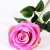 12*12*68CM Single Rose GS-1780028-Z2