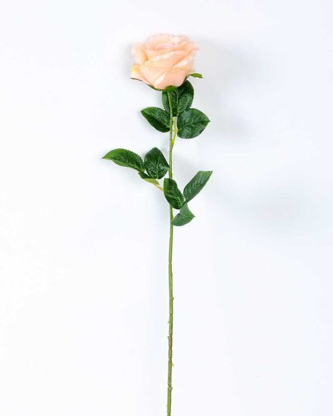 12*12*70CM Single Rose GS-1780029-C1