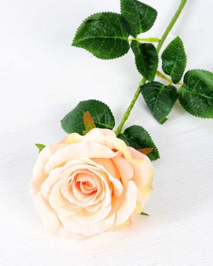 12*12*70CM Single Rose GS-1780029-C1