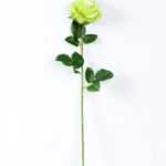 12*12*70CM Single Rose GS-1780029-G1