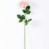 12*12*70CM Single Rose GS-1780029-P1