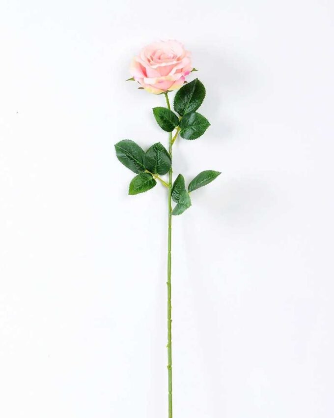 12*12*70CM Single Rose GS-1780029-P1