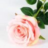 12*12*70CM Single Rose GS-1780029-P1