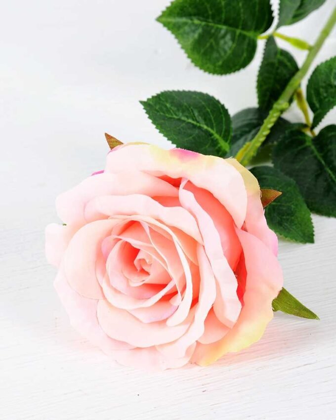 12*12*70CM Single Rose GS-1780029-P1