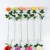 12*12*70CM Single Rose GS-1780029-P1