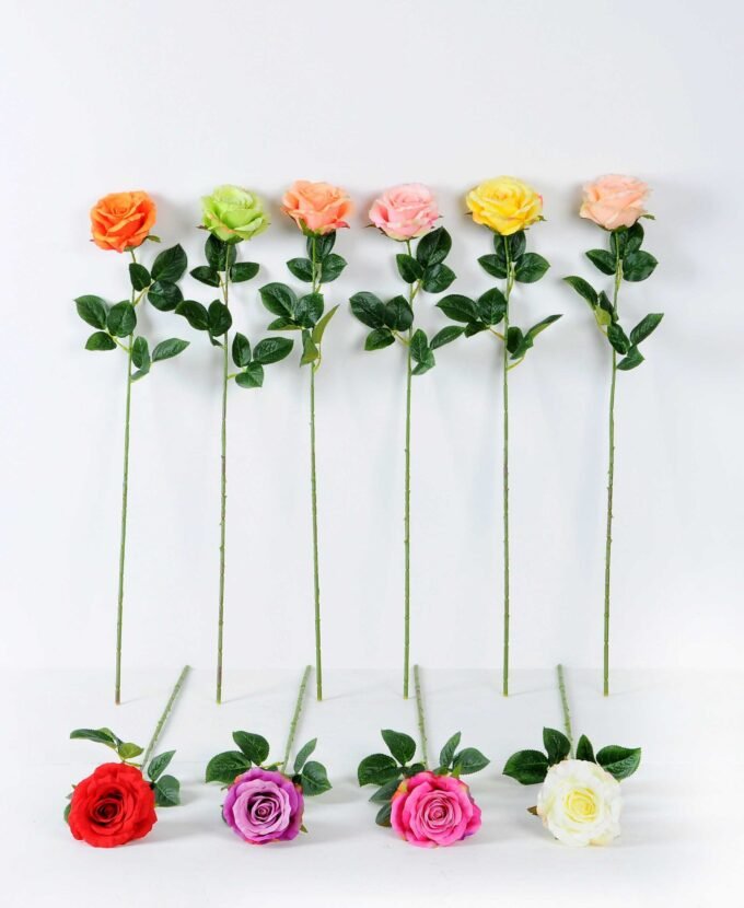 12*12*70CM Single Rose GS-1780029-P1