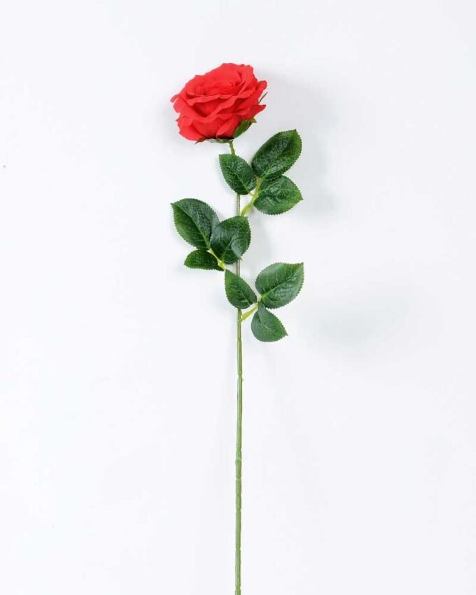 12*12*70CM Single Rose GS-1780029-R1