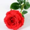 12*12*70CM Single Rose GS-1780029-R1