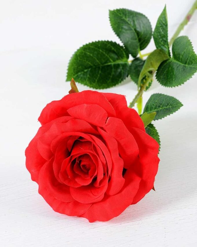 12*12*70CM Single Rose GS-1780029-R1