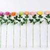 12*12*70CM Single Rose GS-1780029-R1