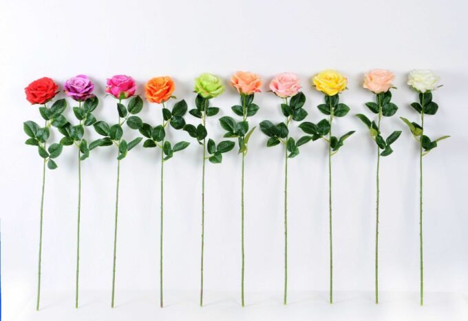 12*12*70CM Single Rose GS-1780029-R1