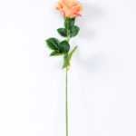 12*12*70CM Single Rose GS-1780029-R2