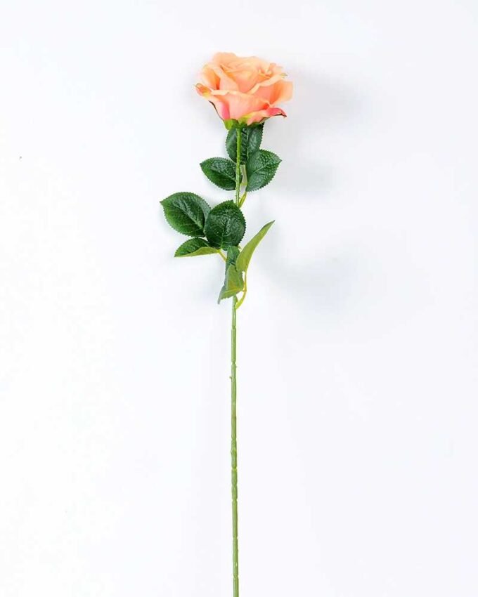 12*12*70CM Single Rose GS-1780029-R2