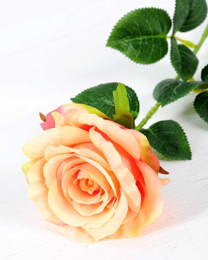 12*12*70CM Single Rose GS-1780029-R2
