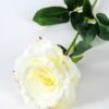 12*12*70CM Single Rose GS-1780029-W1