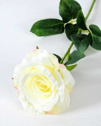 12*12*70CM Single Rose GS-1780029-W1