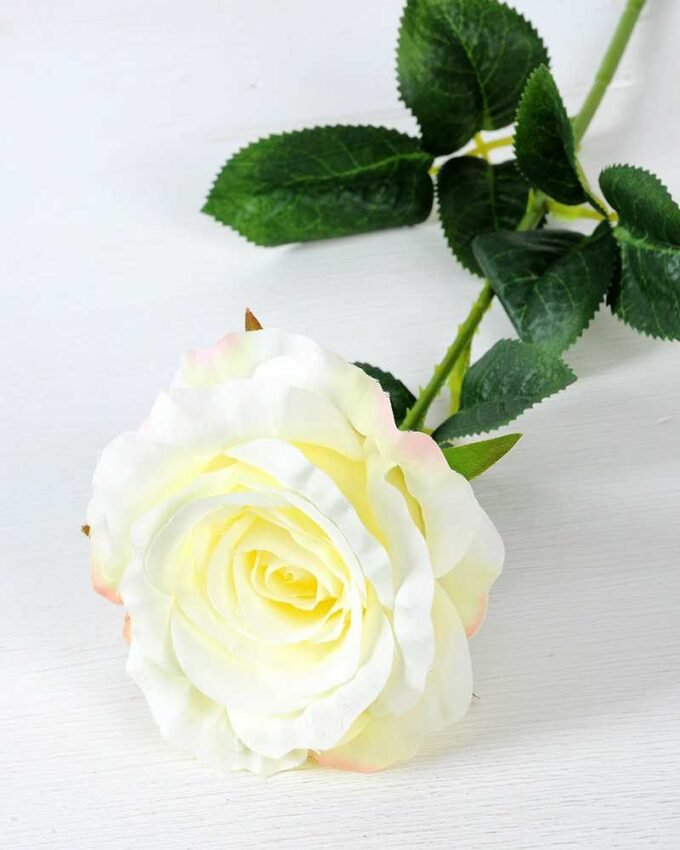 12*12*70CM Single Rose GS-1780029-W1