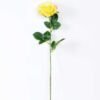 12*12*70CM Single Rose GS-1780029-Y1