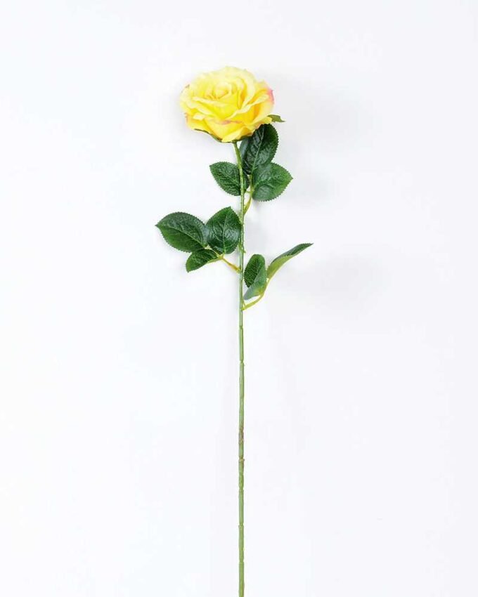 12*12*70CM Single Rose GS-1780029-Y1