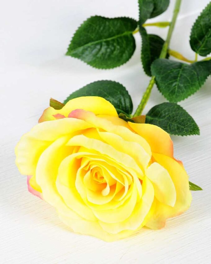 12*12*70CM Single Rose GS-1780029-Y1